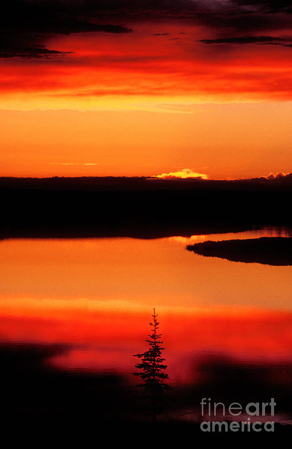Sunset on Whitefish Lake Norhwest Territories Canada Photograph by Dave Welling