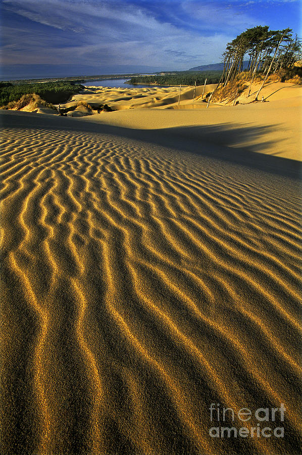 Sunset Oregon Dunes National Recreation Area Oregon Photograph by Dave Welling