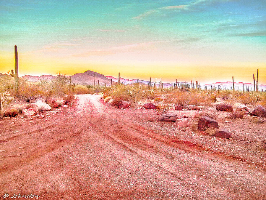 Sunset Organ Pipe Cactus National Monument Photograph