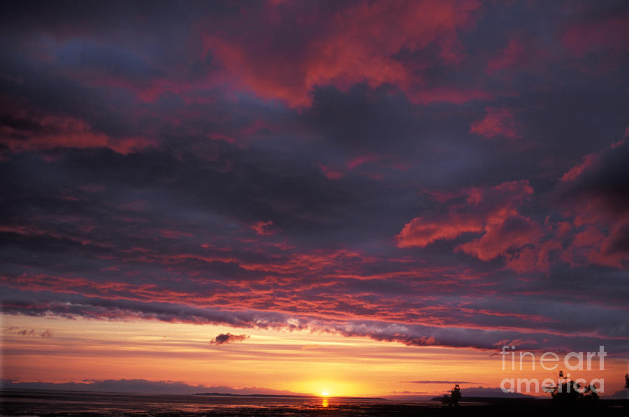 Sunset Over Alaska Photograph by Ron Sanford