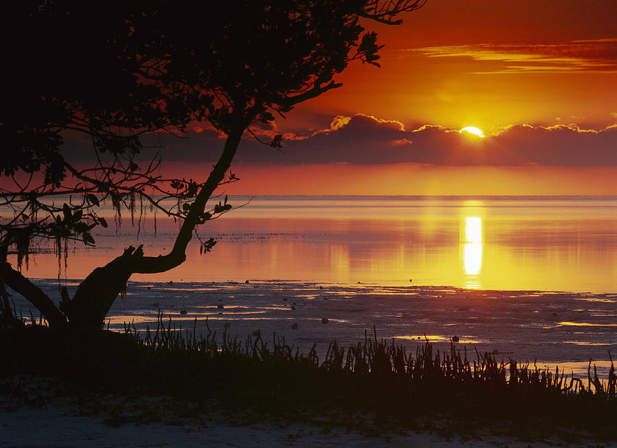Sunset Over Annes Beach Florida Keys Photograph by Tim Fitzharris