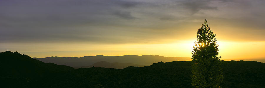 Sunset Over Anza Borrego Desert State Photograph by Panoramic Images