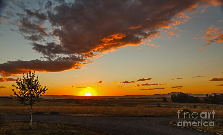 Sunset Photograph - Sunset Over Camas Prairie  by Robert Bales