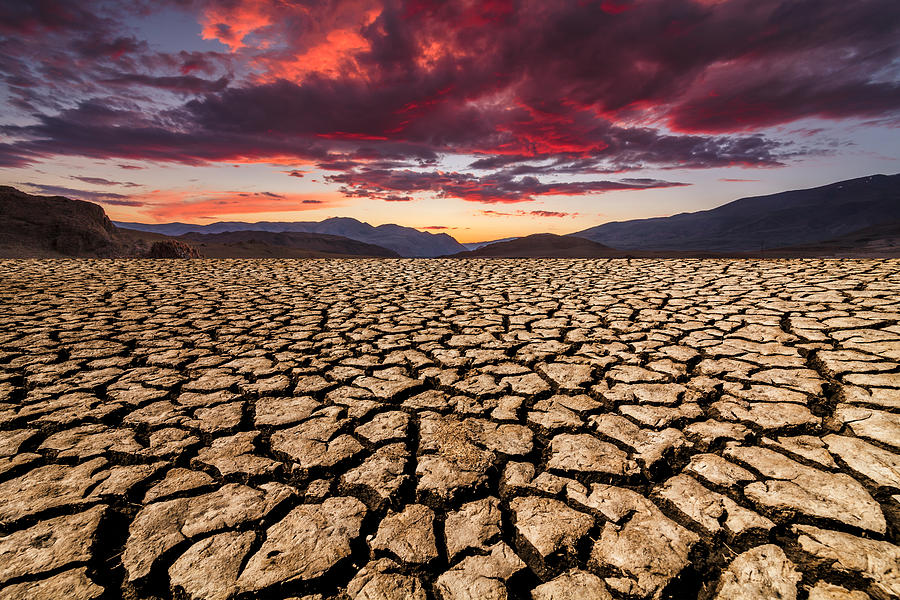 Sunset over cracked soil in the desert. Global warming Photograph by Anton Petrus