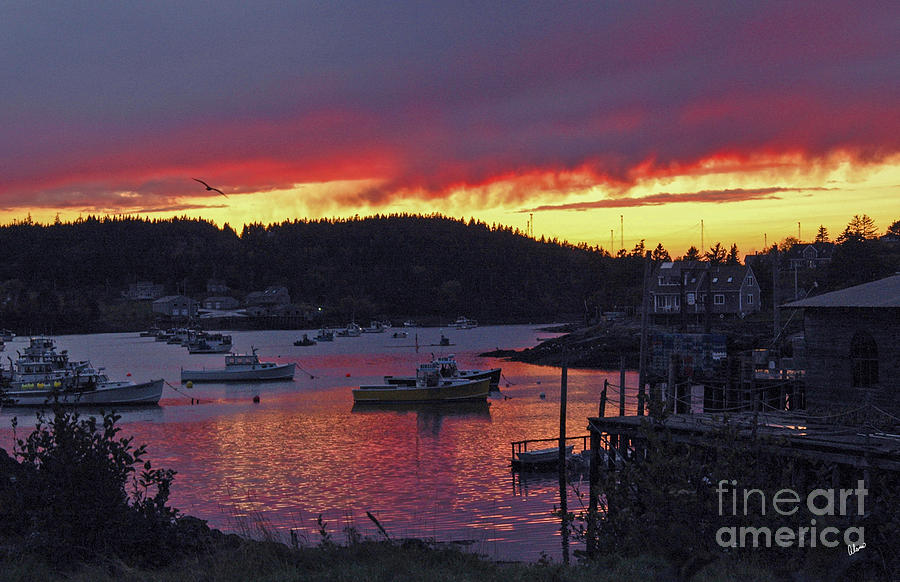 Sunset Over Cutler Harbor Photograph