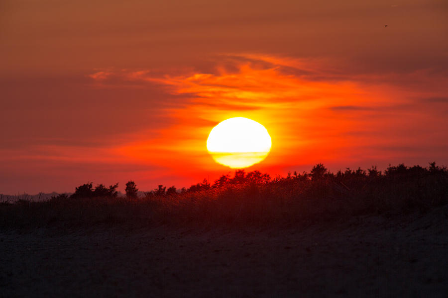 Sunset over Dead Neck Photograph by Allan Morrison