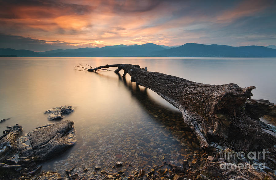Nature Photograph - Sunset over fallen tree Lake Maggiore Italy by Matteo Colombo
