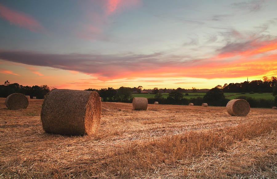 Sunset Over Field Of Hay Bales Photograph by Verity E. Milligan