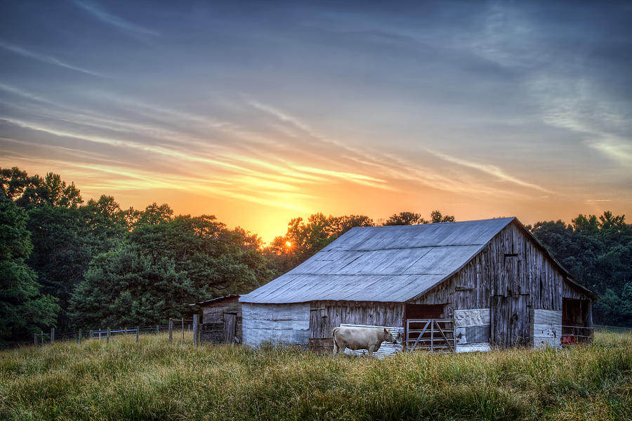 Sunset Over Georgia Farm Photograph by Aaron Morgan - Fine Art America