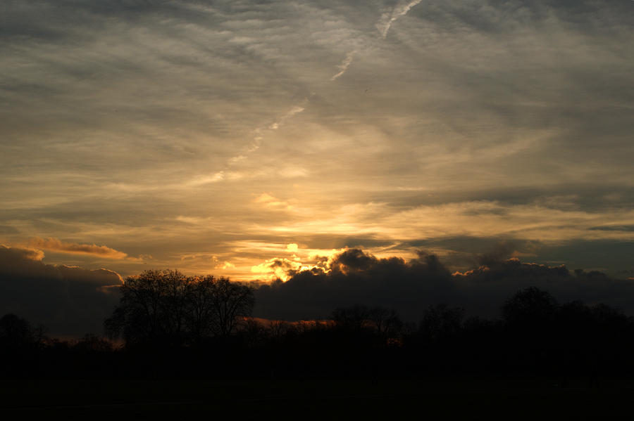 Sunset Over Hyde Park Photograph