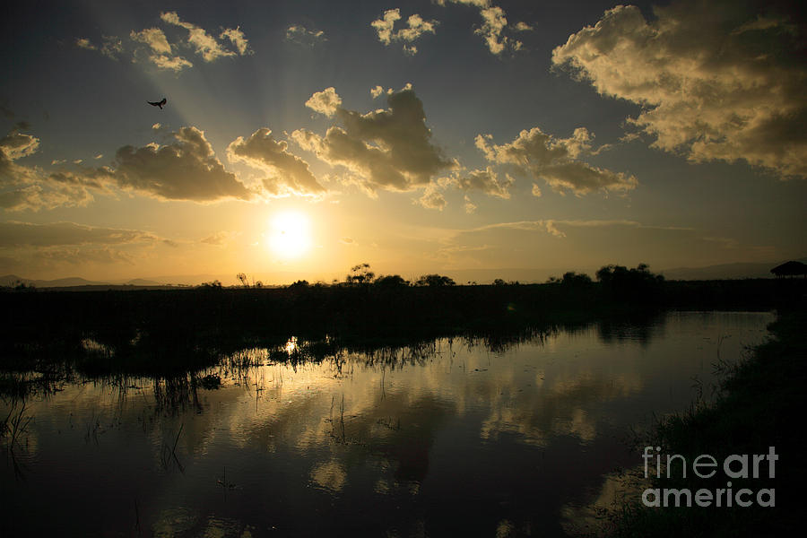Nature Photograph - Sunset over Lake Naivasha by Deborah Benbrook