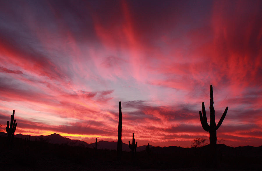 Arizona Sunset Photograph - Sunset Over Laveen by Laurie Larson