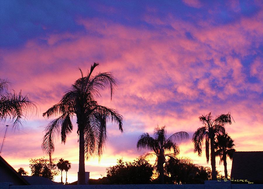 Sunset Over Palms Photograph by R B Harper
