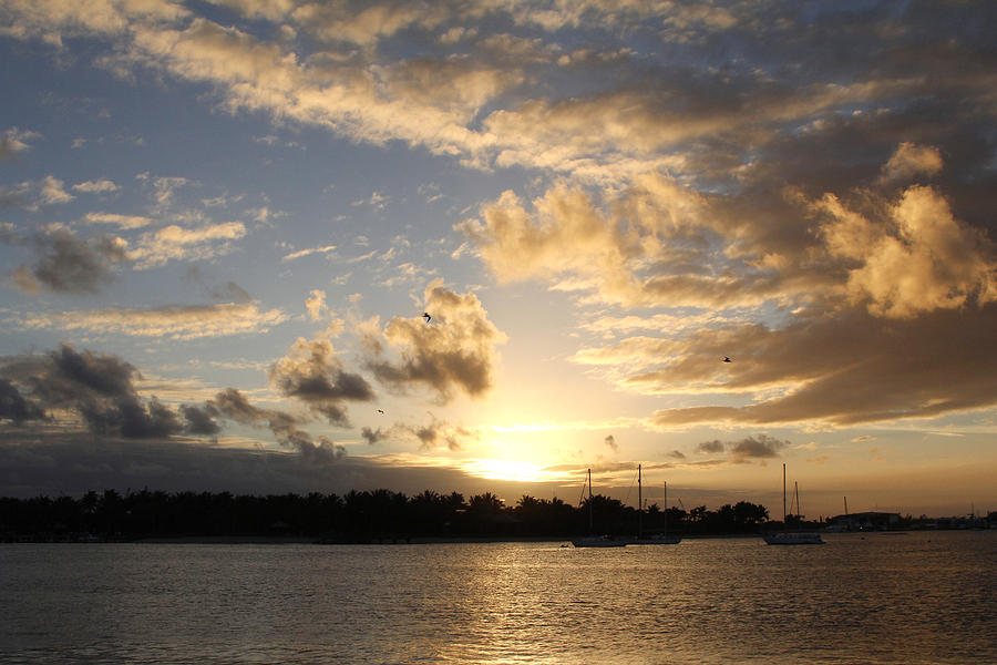 Sunset over Peanut Island Photograph by Nina Prommer