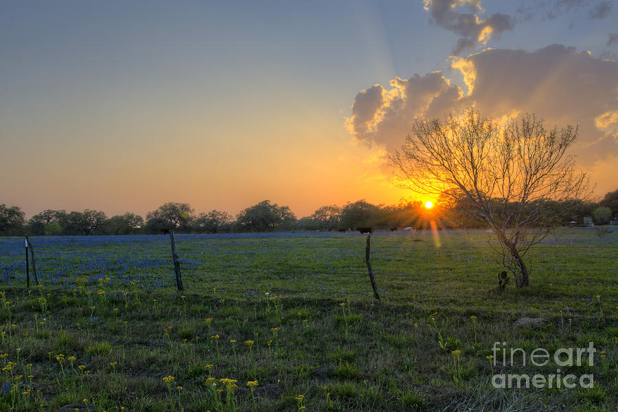 Sunset over Poteet Texas Photograph by Cathy Alba