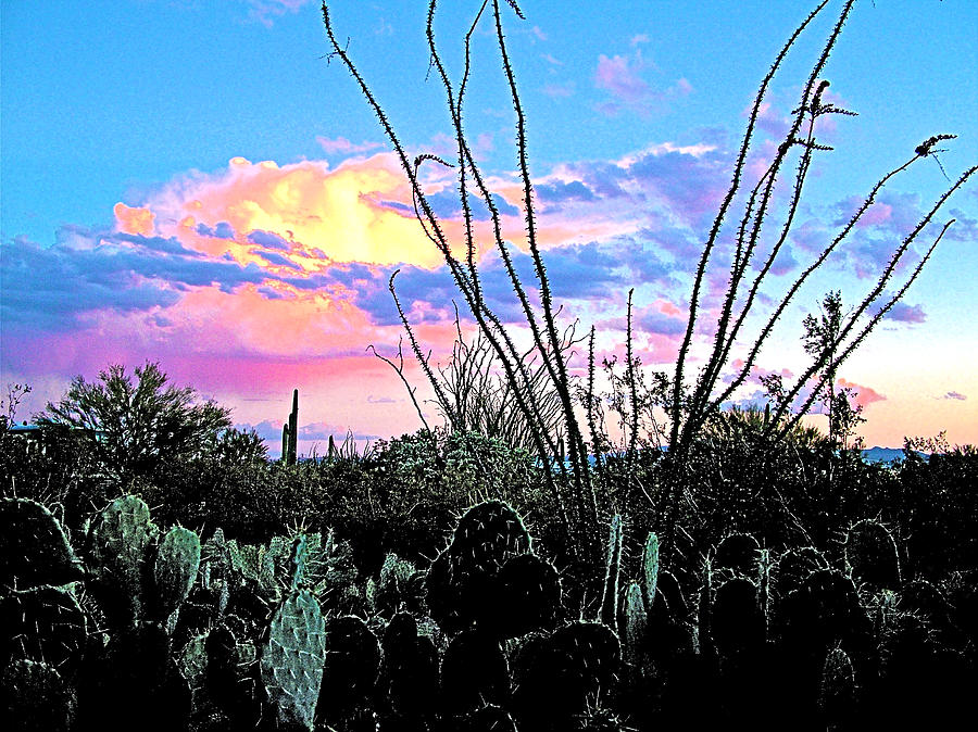 Sunset over Prickly Pear and Ocotillo from Gilbert Ray Campground-Arizona Photograph by Ruth Hager