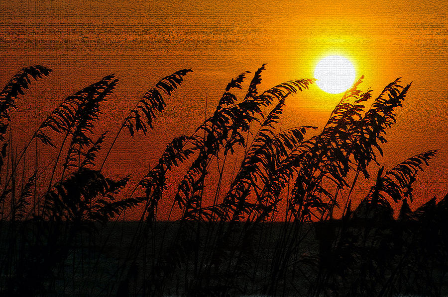 Sunset over Sea Oats antique style A Photograph by David Lee Thompson