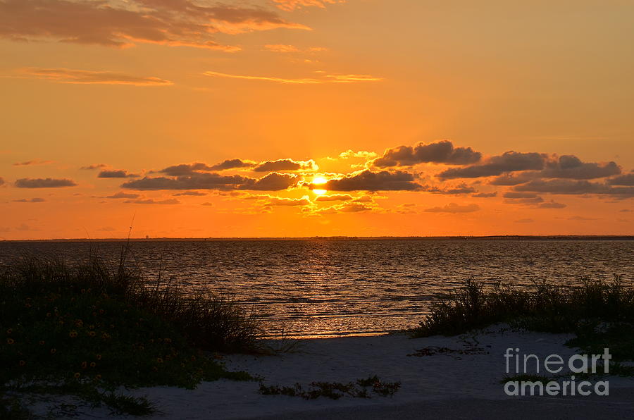 Sunset Photograph - Sunset Over Tampa Bay by Carol  Bradley
