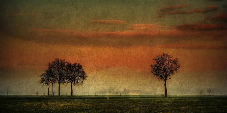 Sunset over the country Photograph by Roberto Pagani