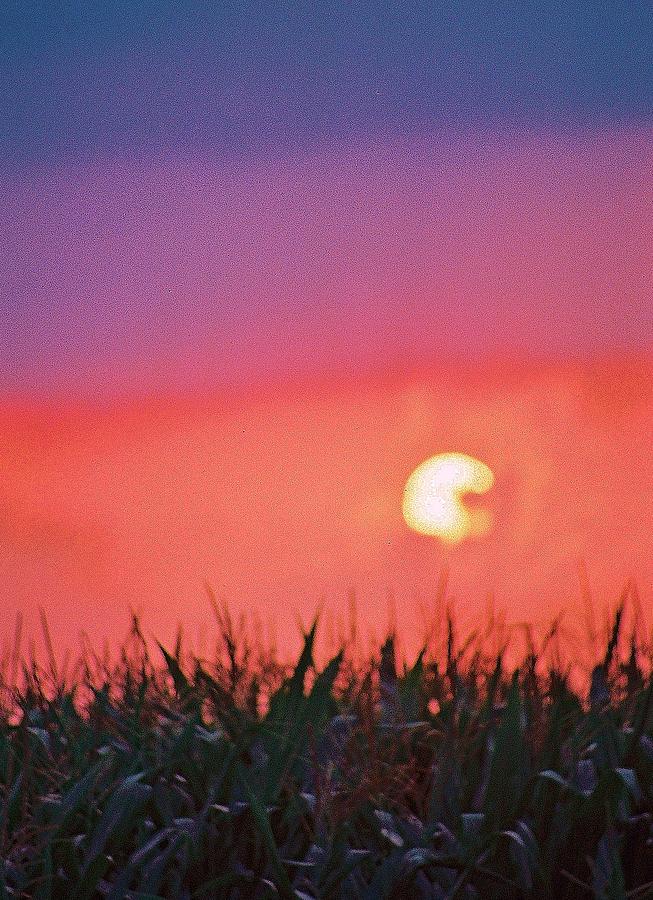 Sunset over the Field of Dreams v2 Photograph by Daniel Thompson