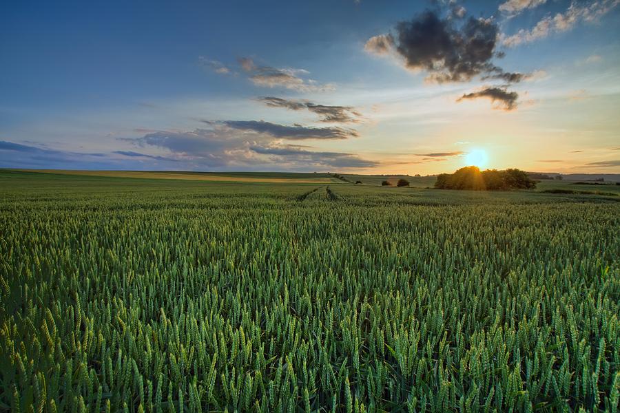 Sunset over the field Photograph by Stockr - Fine Art America