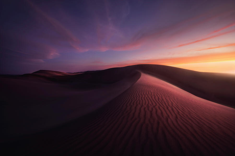 Sunset Over The Namib Desert Photograph by Robert Postma