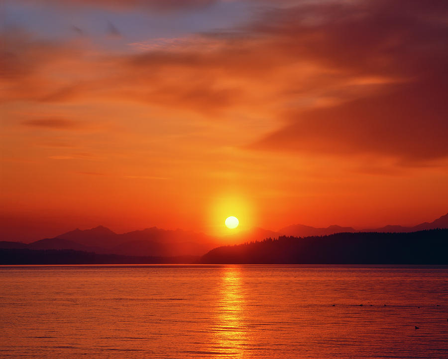 Sunset Photograph - Sunset Over The Olympic Mountains by Jaynes Gallery
