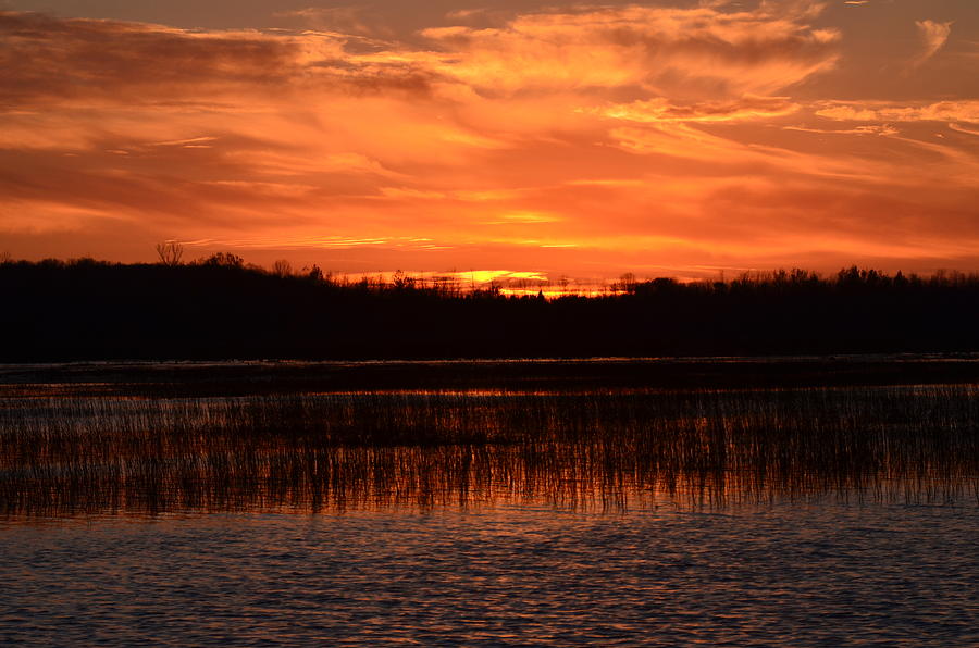 Nature Photograph - Sunset Over Tiny Marsh by David Porteus