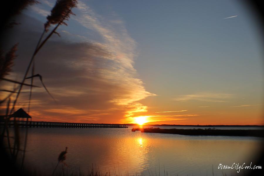 Sunset Over Wetlands Photograph by Robert Banach