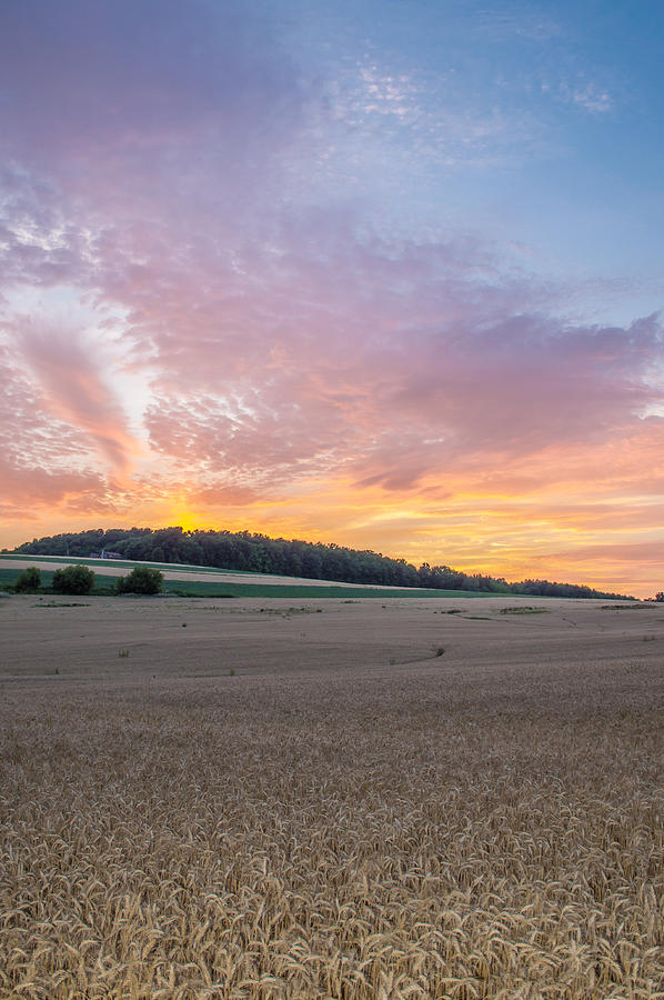 Sunset Photograph - Sunset Over Wheat by Ray Sheley