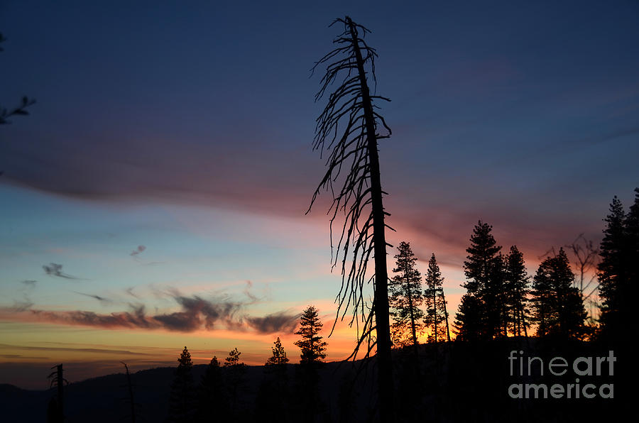 Sunset Over Yosemite Photograph by Debra Thompson