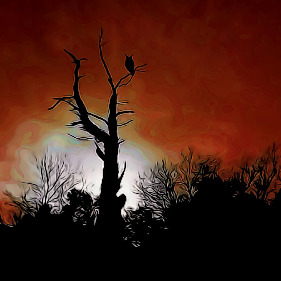 Sunset Owl Digital Art Digital Art by Ernest Echols
