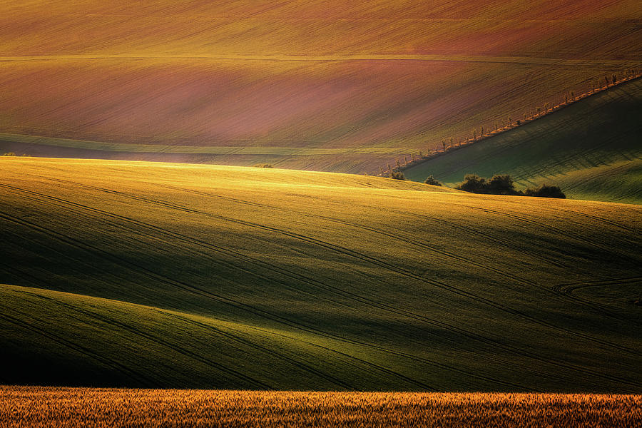 Fields Photograph - Sunset Palette by Marek Boguszak Fields Photograph - Sunset Palette by Marek Boguszak