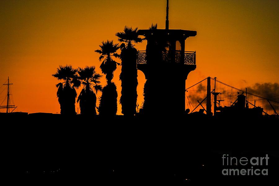Sunset Pyrography - Sunset Palm by Dylan Fletcher