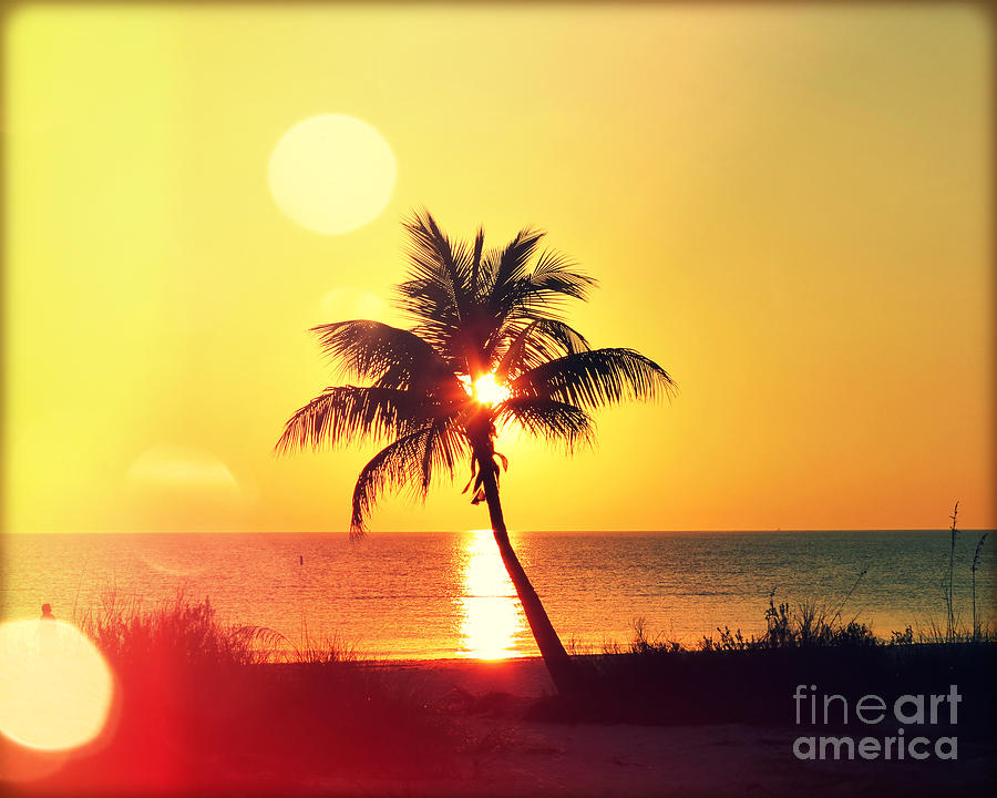 Sunset Palm I Photograph by Chris Andruskiewicz