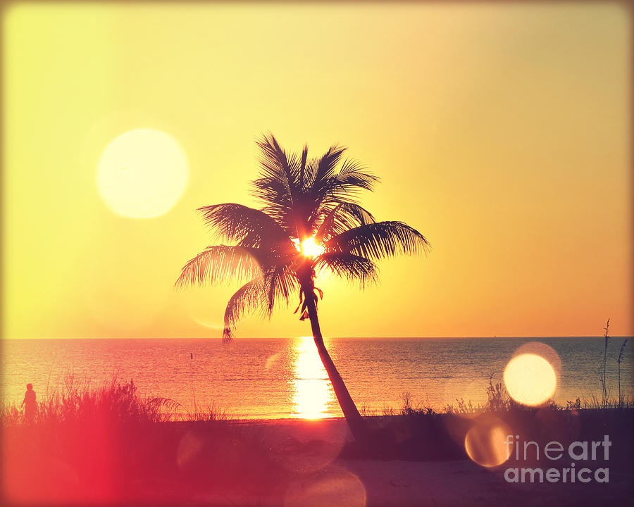 Sunset Palm II Photograph by Chris Andruskiewicz