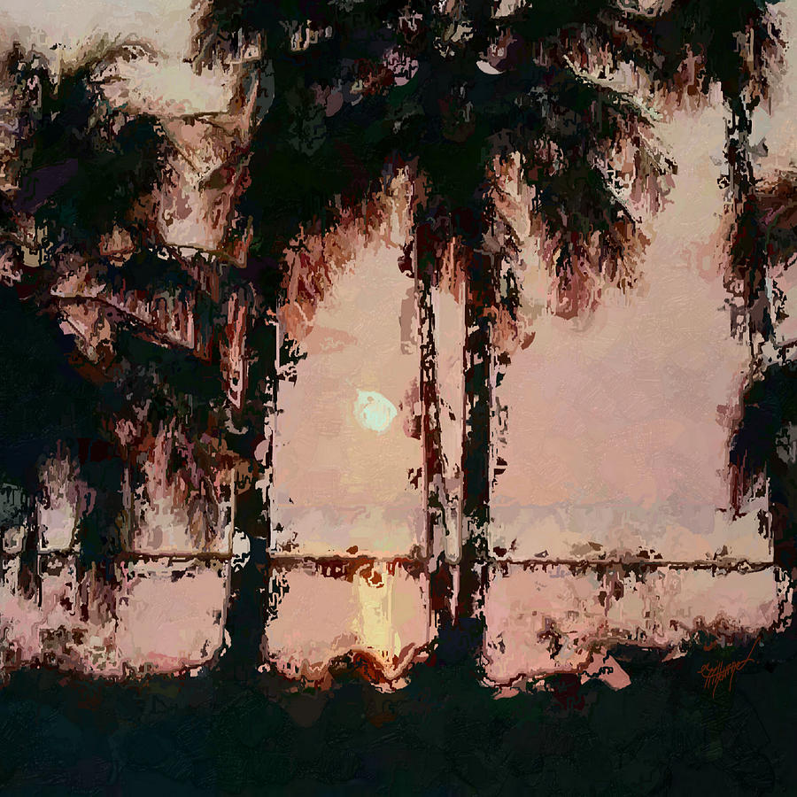 Sunset palms abstract Digital Art by Anthony Fishburne
