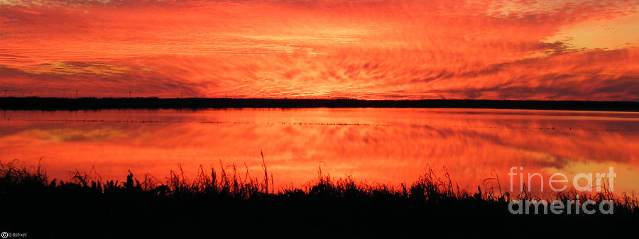 Sunset Panarama Lacassine Photograph by Lizi Beard-Ward
