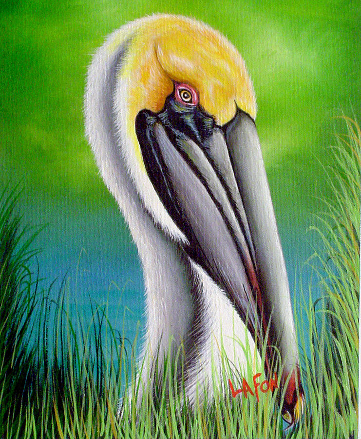 Sunset Pelican by Owen Lafon Sunset Pelican by Owen Lafon