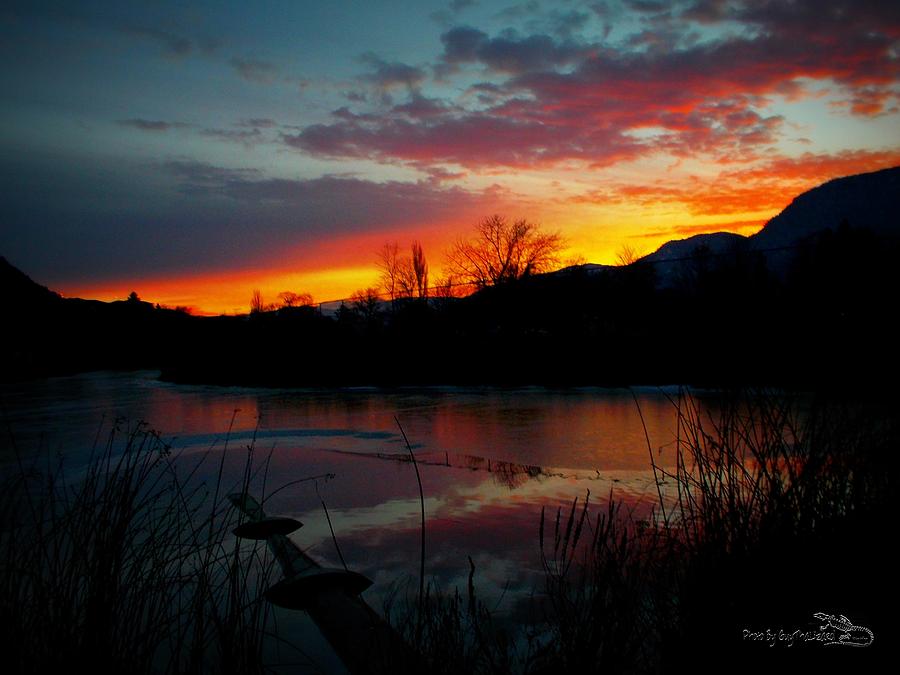 Sunset Photograph - Sunset Pond by Guy Hoffman