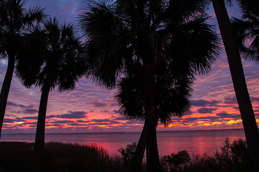 Sunset Photograph - Sunset Port St Joe Florida by Tom Goldsmith