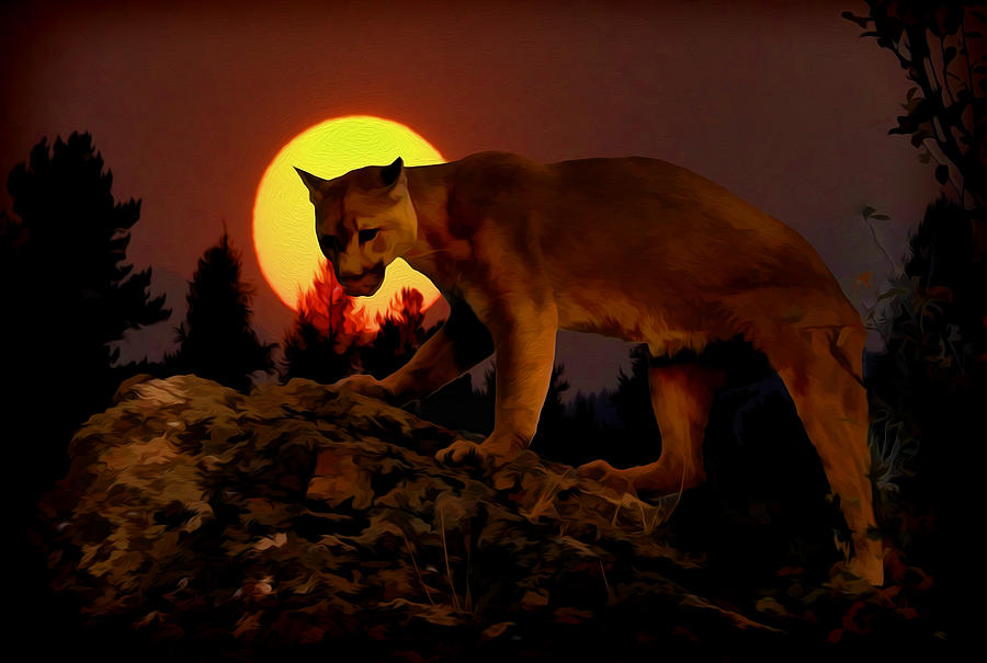 Sunset Predator Digital Art by Wade Aiken