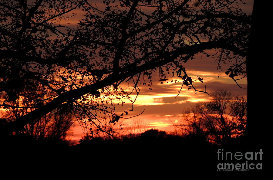 Nature Photograph - Sunset by Rabiah Seminole