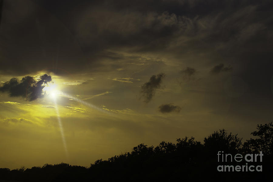 Sunset Radiance Photograph by Judy Hall-Folde