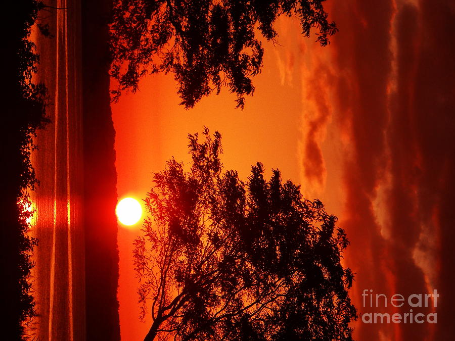 Sunset Red New Haven Photograph by Seth Bendfeldt - Fine Art America