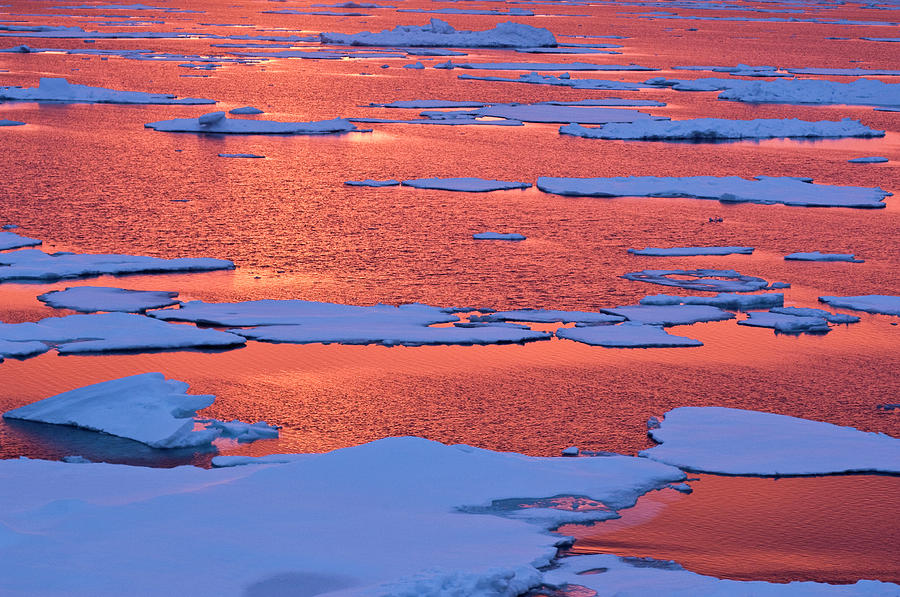 Sunset Photograph - Sunset Reflections, Greenland Sea, East by Daisy Gilardini