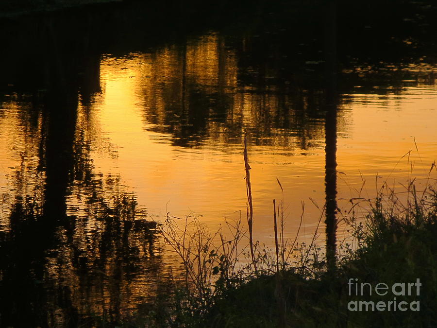 Sunset reflections in my backyard canal. Photograph by Robert Birkenes