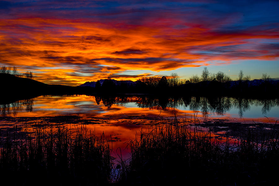 https://images.fineartamerica.com/images-medium-large-5/sunset-reflections-terry-mair.jpg