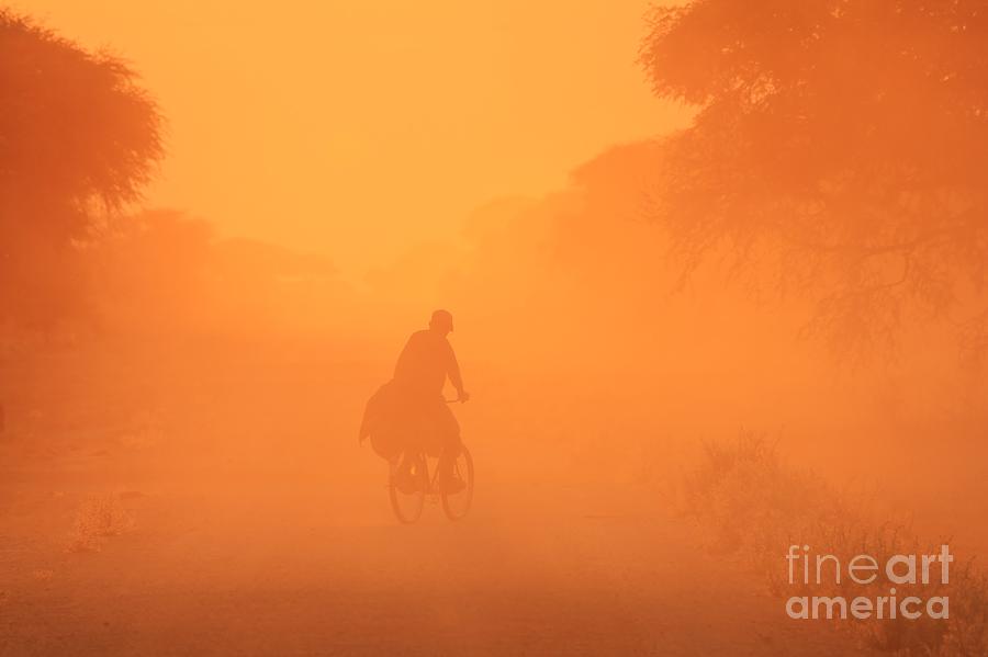 Rush Hour Movie Photograph - Sunset Rider - African Rush Hour by Andries Alberts