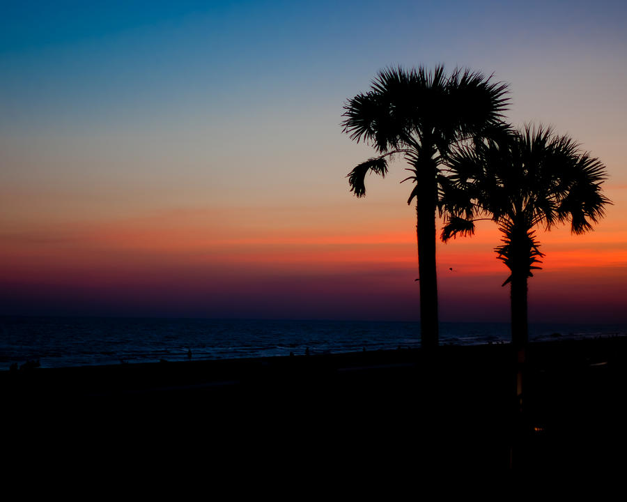Sunset Photograph by Robert L Jackson